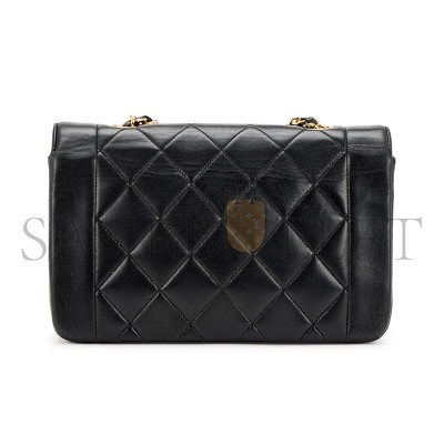 CHANEL SMALL DIANA FLAP A01164 (22*14*7cm)