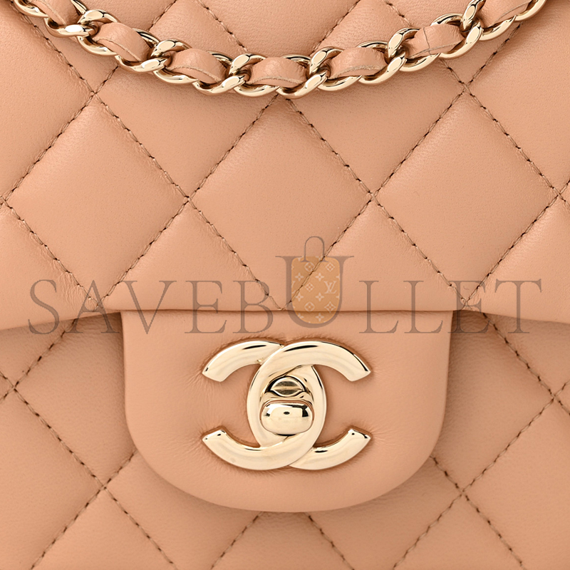 CHANEL MINI TOP HANDLE FLAP 1650113 (19*13*6cm)