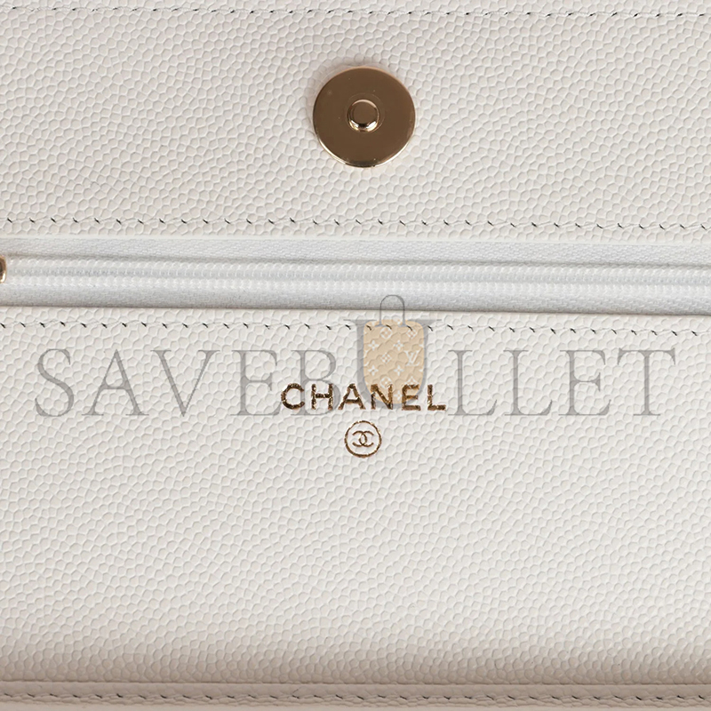 CHANEL WALLET ON CHAIN WOC AP3127 (19*12*4cm)