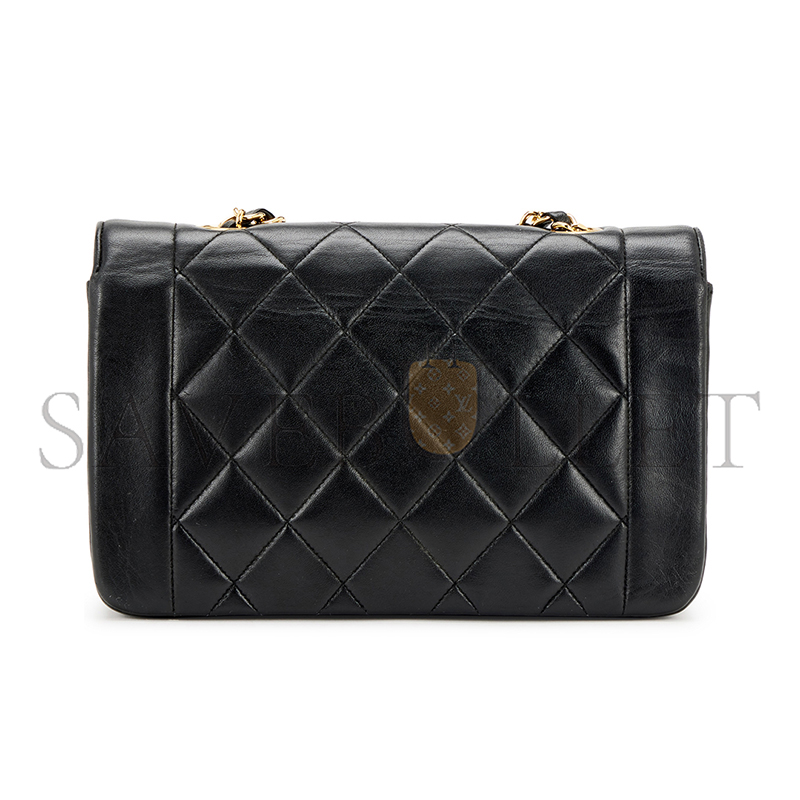 CHANEL SMALL DIANA FLAP A01164 (22*14*7cm)