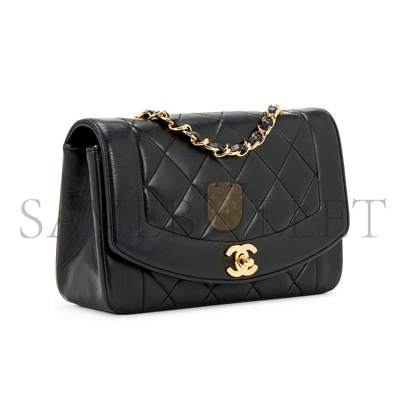 CHANEL SMALL DIANA FLAP A01164 (22*14*7cm)