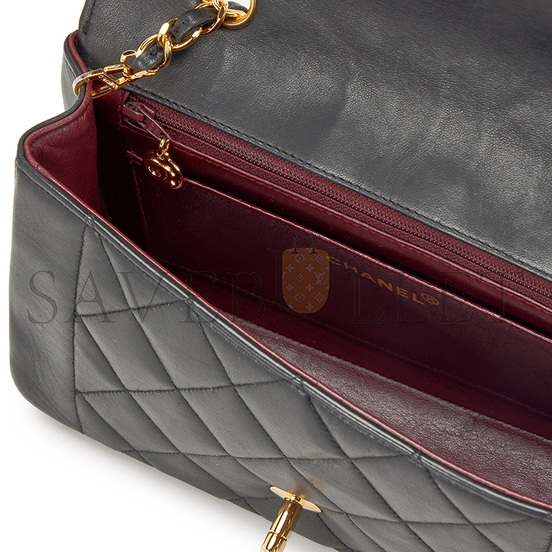 CHANEL SMALL DIANA FLAP A01164 (22*14*7cm)