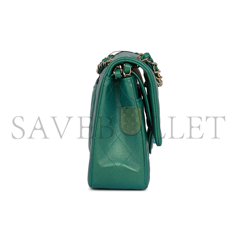 CHANEL IRIDESCENT MEDIUM DOUBLE FLAP 11065427 (25*15*6cm)
