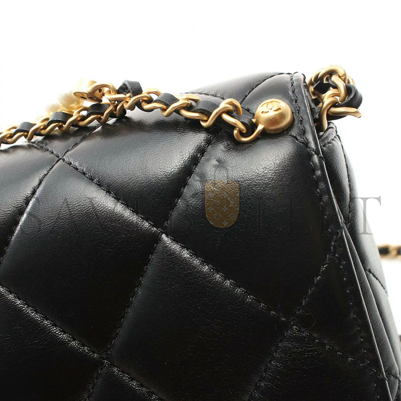 CHANEL MINI FLAP BAG AS5011 (23*16*9cm)